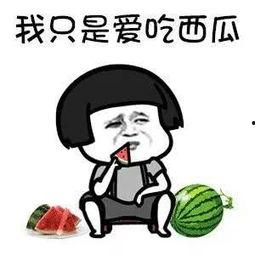 娱乐圈吃瓜什么心态,揭秘明星背后的真实心态与故事