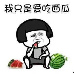 娱乐吃瓜音乐叫什么来着,揭秘流行乐坛的“瓜田”奇闻