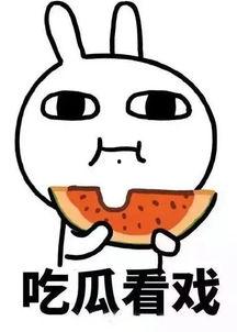 娱乐吃瓜酱 求三角形,揭秘三角形的魅力与奥秘