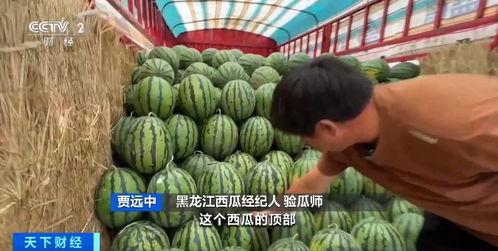 娱乐吃瓜酱爷爷花篮